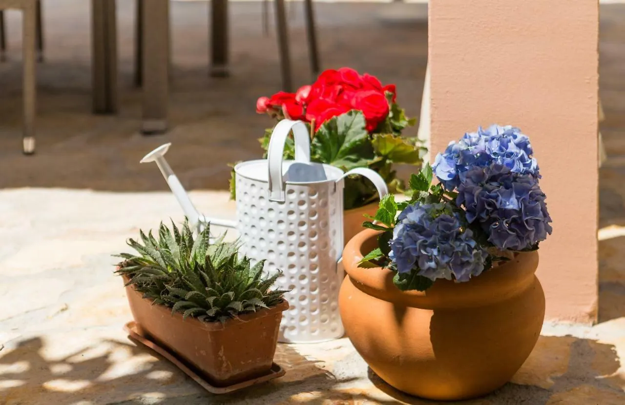 Apartament Apartmani Oaza Trogir Chorwacja
